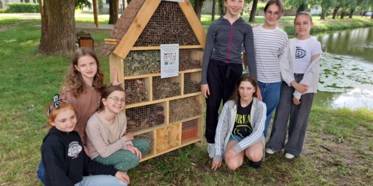 Powstał hotel dla owadów