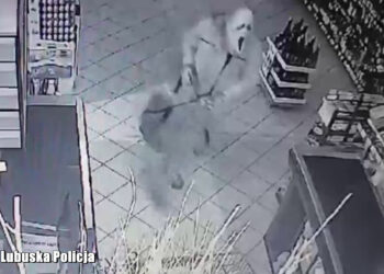 Maska nie pomogła. Włamywacze w rękach policji [FILM]