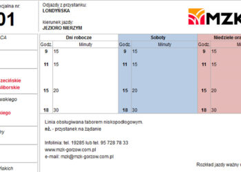 Autobusy już wożą nad jezioro