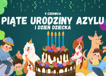 Azorki zapraszają na swoje urodziny