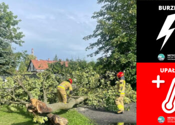 476 zgłoszeń związanych ze skutkami silnego wiatru i podtopieniami. Ostrzeżenia dla lubuskiego
