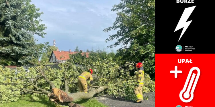 476 zgłoszeń związanych ze skutkami silnego wiatru i podtopieniami. Ostrzeżenia dla lubuskiego