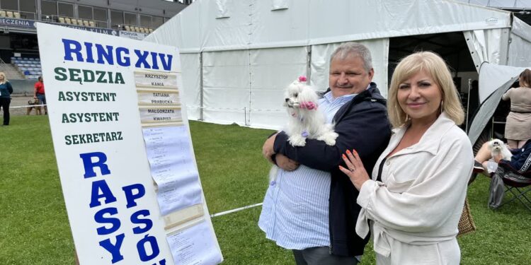 IV Międzynarodowa Wystawa psów rasowych w Gorzowie