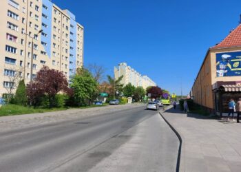 Interwencja z os. Staszica. Pies to także obowiązek