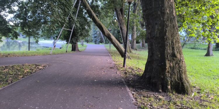 Czy drogi dla rowerów są sprzątane?