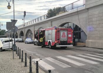 Cuchnący problem na bulwarze