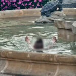 Fot. KMP Gorzów Wlkp.