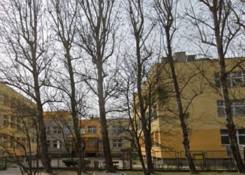 Wyniki egzaminu ósmoklasisty