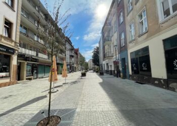 Słuchaczka pyta: „Jak często podlewane są drzewka przy studni czarownic?”