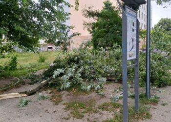 Trwa porządkowanie miasta po wichurze [ZDJĘCIA]