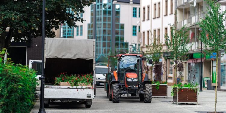 Na Hawelańskiej i Wełnianym Rynku robi się zielono [ZDJĘCIA]
