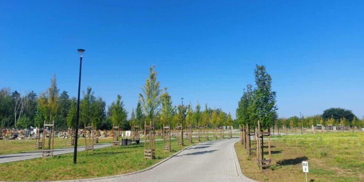 Gorzowski cmentarz będzie jeszcze większy