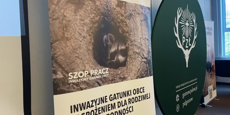 Szop, gatunek inwazyjny
