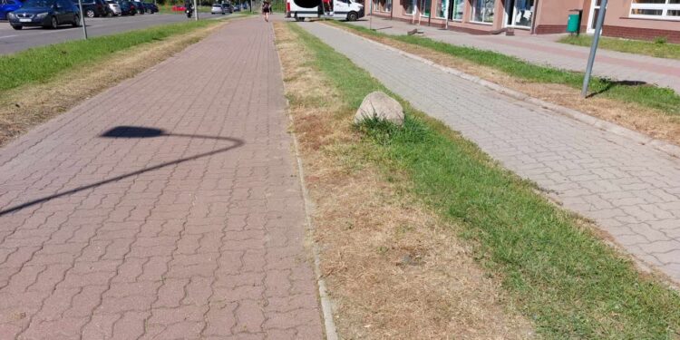 Wypalona trawa przy Szarych Szeregów