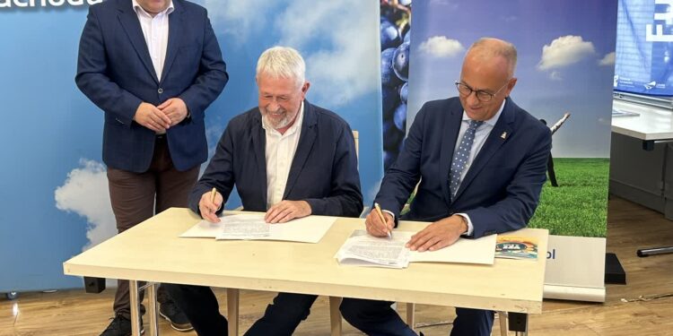 Festiwal ,,Muzyka w Raju” ponownie ze wsparciem zarządu województwa lubuskiego