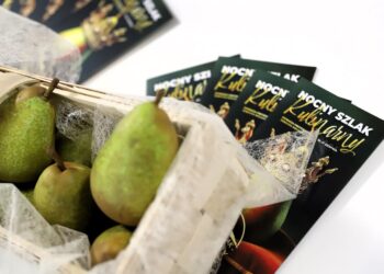 Specjalna mapa restauracji