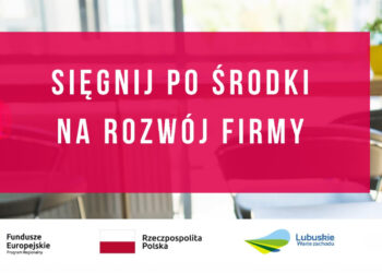 Wsparcie szkoleniowe dla lubuskich firm