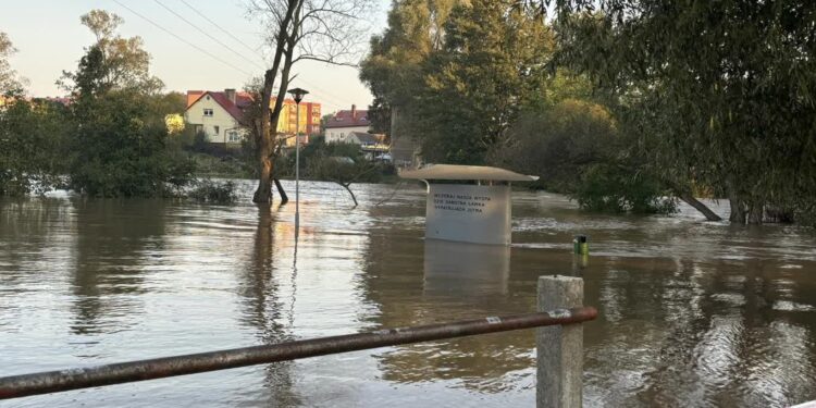 Burmistrz Szprotawy wzywa do samoewakuacji. Stany alarmowe przekroczone na Bobrze, Kwisie i Nysie Łużyckiej