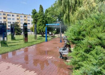 Miasto będzie chłodzić gorzowian