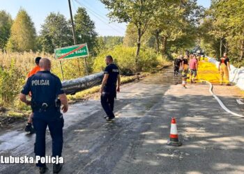 Wzrasta poziom wody na Bobrze w Nowogrodzie Bobrzańskim (AKTUALIZOWANY)