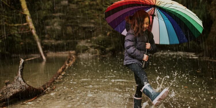 W Lubuskiem ostrzeżenie pierwszego stopnia przed intensywnymi opadami deszczu na południu regionu