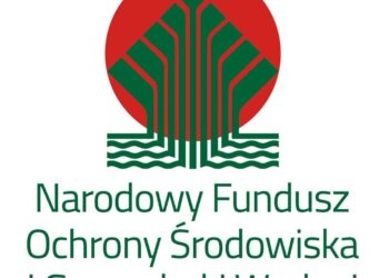 Są pieniądze na tzw. małą retencję. Dotację dostanie Gorzów i Zielona Góra