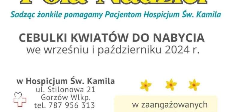 Kolejne Pola Nadziei Hospicjum Św. Kamila