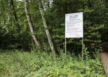 Plan zagospodarowania dla Parku Czechówek