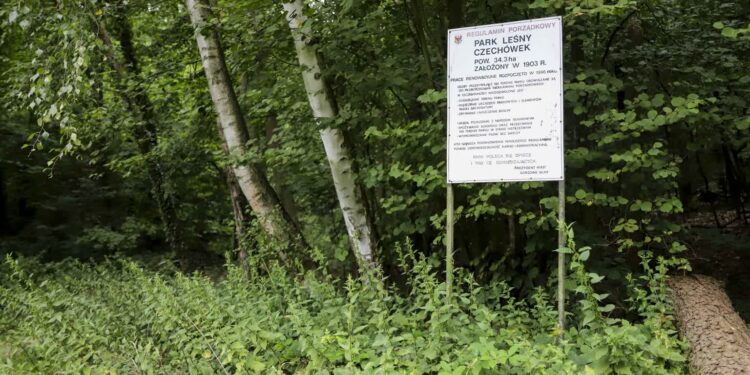 Plan zagospodarowania dla Parku Czechówek