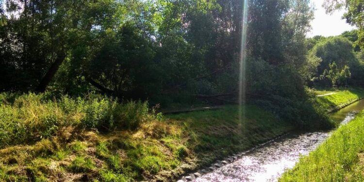 Zakaz poruszania się po wałach przeciwpowodziowych