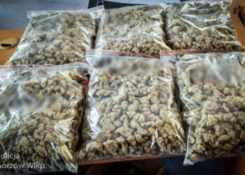 Napad, kradzież i narkotyki. 38-latek zatrzymany