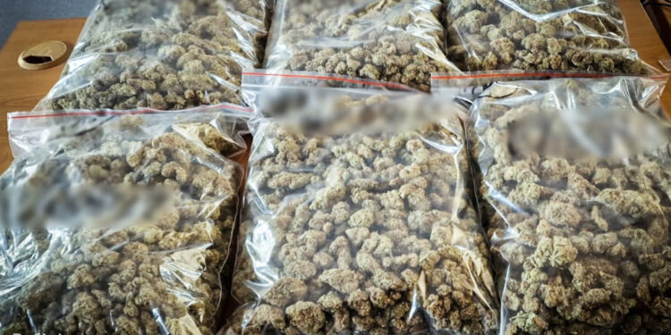 Napad, kradzież i narkotyki. 38-latek zatrzymany