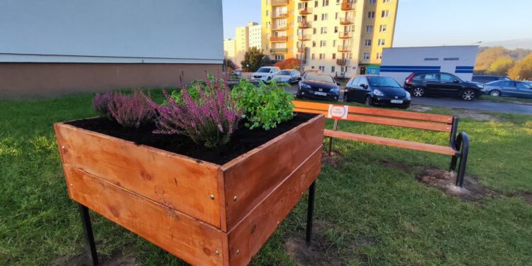 Donice z ziołami, ławeczki i kosze na śmieci. Nowe rabatki na gorzowskich Piaskach