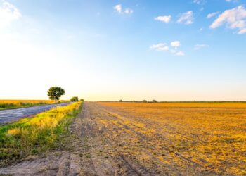 Fot. Łukasz Kulczyński