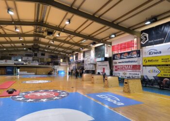 Policyjne testy sprawnościowe