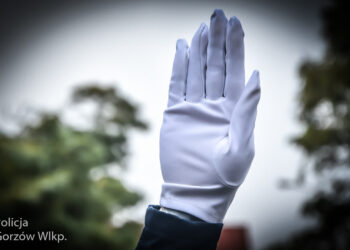 Co oznaczają policyjne gesty na skrzyżowaniu? [ZDJĘCIA,FILM]