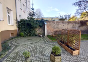 fot. Jan Wojtanowski / www.um.gorzow.pl