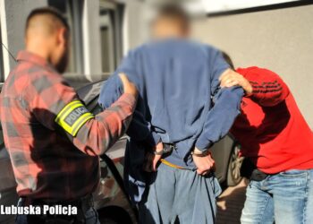 Podpalaczowi grozi do 5 lat więzienia. Są zarzuty