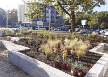 Powstaną nowe parki kieszonkowe. Wiemy gdzie