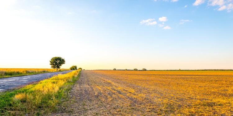 Budimex odwołuje się od wyników przetargu. Będzie opóźnienie w pracach?