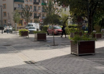 Więcej zieleni na Wełnianym Rynku