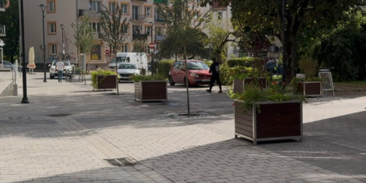 Więcej zieleni na Wełnianym Rynku