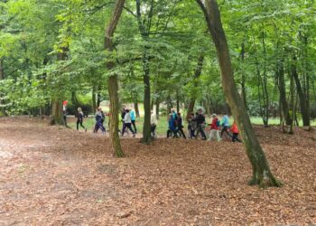 fot. Ośrodek Sportu i Rekreacji w Gorzowie Wielkopolskim / www.facebook.com