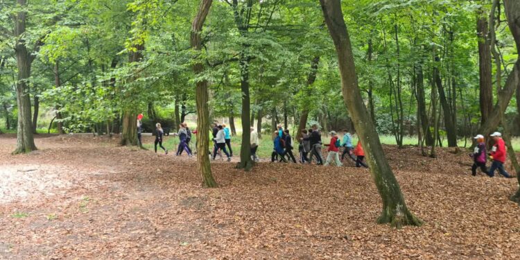 fot. Ośrodek Sportu i Rekreacji w Gorzowie Wielkopolskim / www.facebook.com