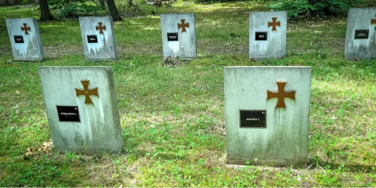 Cmentarze przy Dobrej i Walczaka zamknięte z powodu wiatru