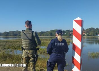 Łatwiej dostać pracę w policji i Straży Granicznej. Sejm uchwalił nowelizację