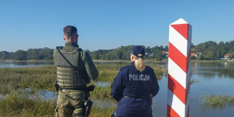 Łatwiej dostać pracę w policji i Straży Granicznej. Sejm uchwalił nowelizację