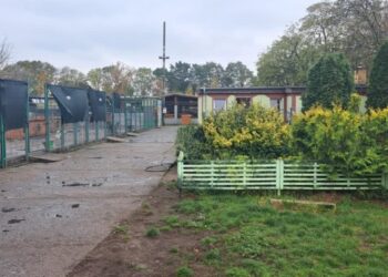 Schronisko ma być większe. Ważne zmiany