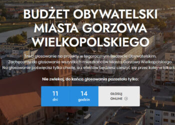 900 głosów w 3 dni. Trwa głosowanie na Budżet Obywatelski