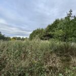 fot. Gorzowskie Inwestycje Miejskie